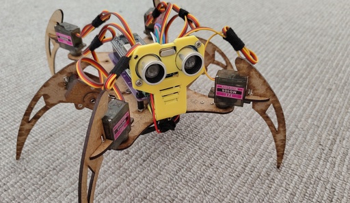 Hexapod robot. The Morning Set