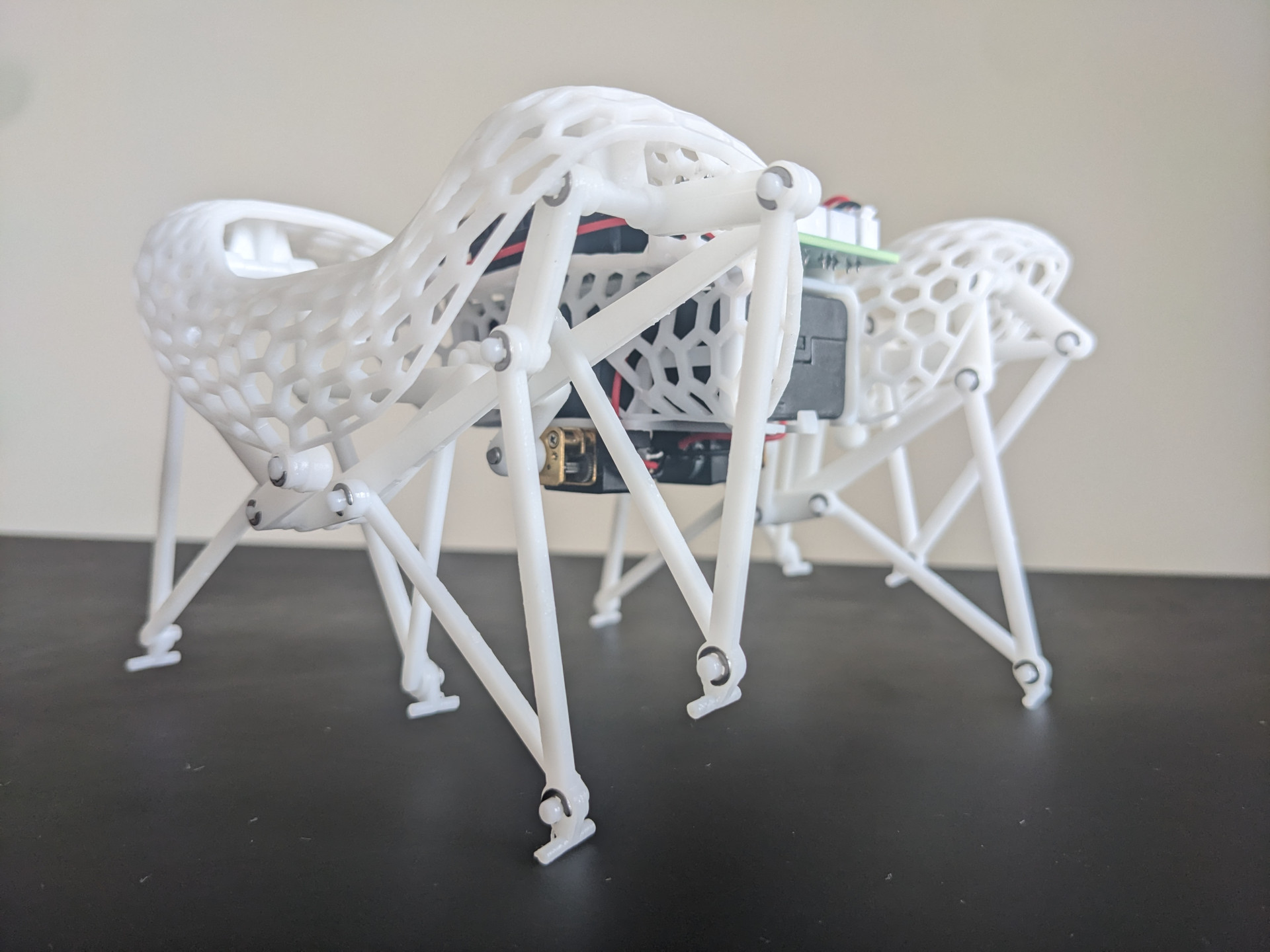 The Robium Walker. The Morning Set